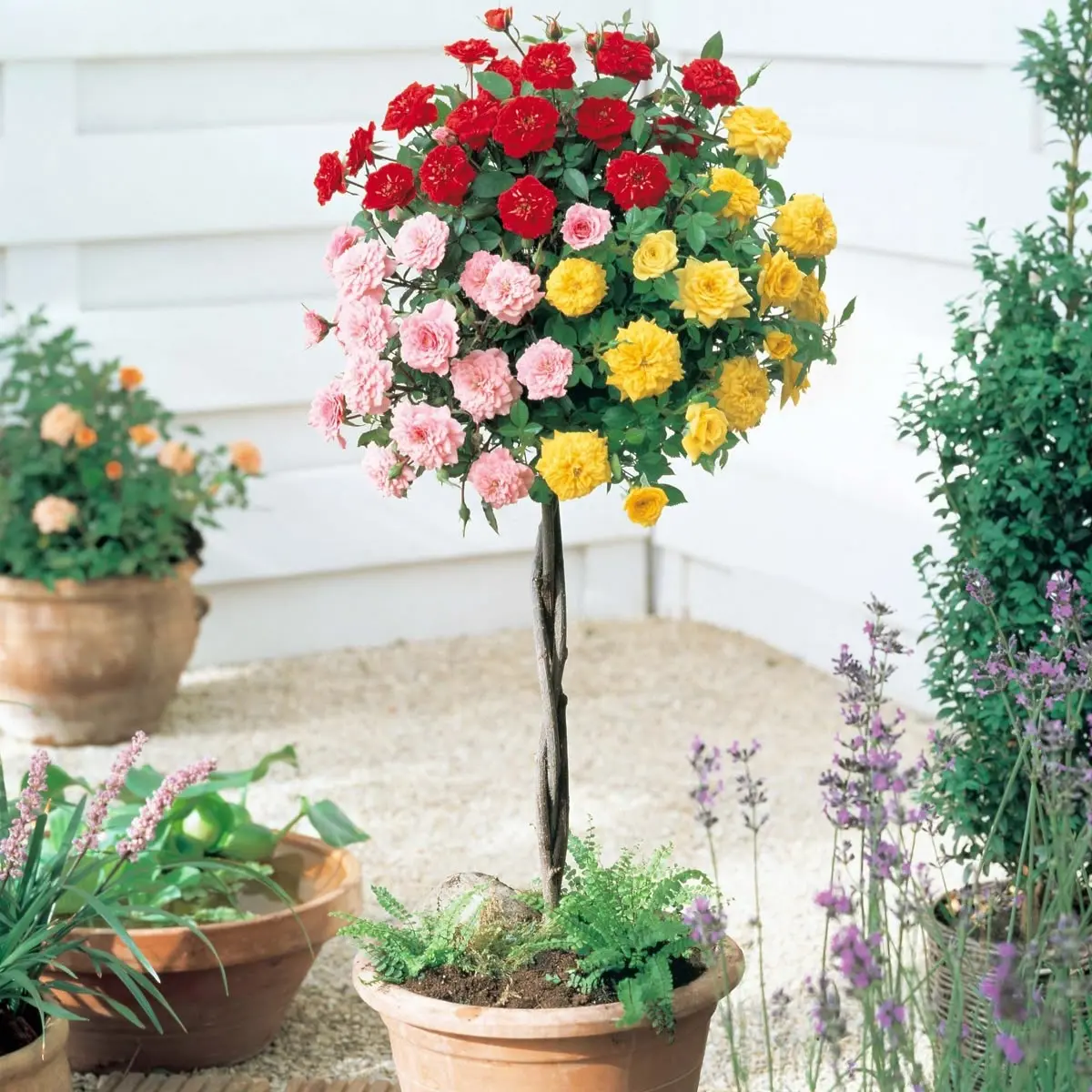 floating planter pot Floating Plant Pot