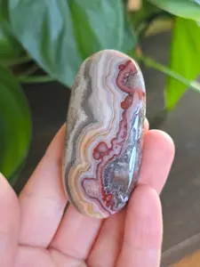 Red Mexican Crazy Lace Agate Palm Stone