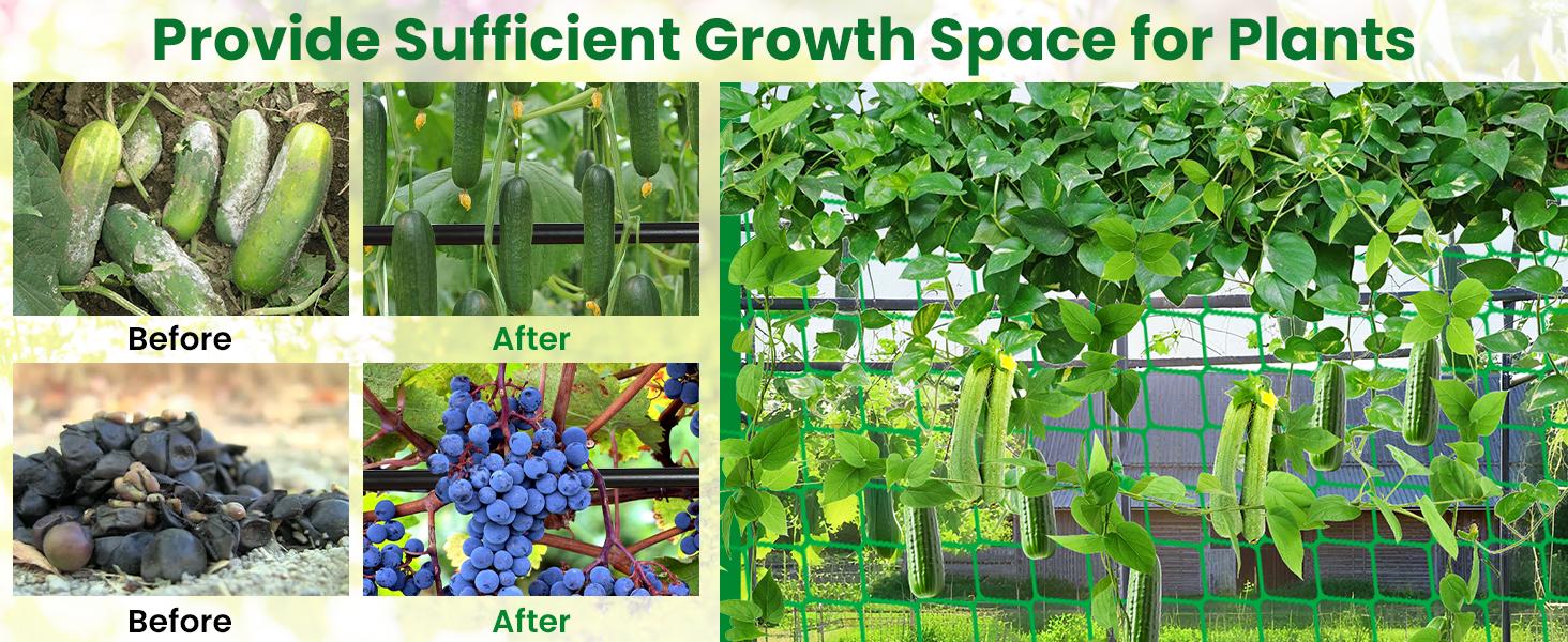 Tall Garden Arch Trellis for Climbing Plants Outdoor, 4/5/7/7.5 ft Tall Polyethylene-Coated Stainless Steel Garden Arch for Climbing Vine Vegetable/Fruit/Flower, Cucumber Trellis for Raised Bed, Black