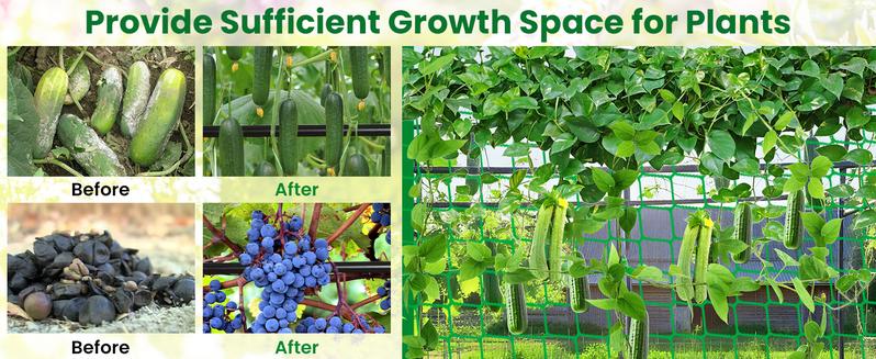 Tall Garden Arch Trellis for Climbing Plants Outdoor, 4/5/7/7.5 ft Tall Polyethylene-Coated Stainless Steel Garden Arch for Climbing Vine Vegetable/Fruit/Flower, Cucumber Trellis for Raised Bed, Black