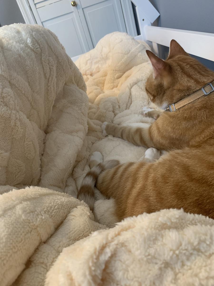 Item: Beige & White, Twin-2pcs: 64"x88"