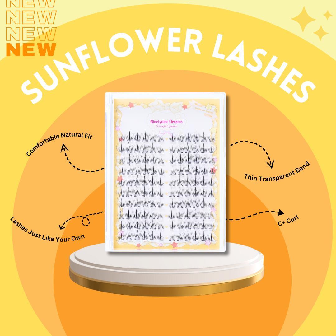 Ninetynine Dreams 120PCs Sunflower Lashes | Natural Everyday 8-13mm C+ Curl False Eyelash Clusters — Soft Lightweight Reusable Ultra-Thin Transparent Band Waterproof Long-Lasting DIY Eyelashes for Daily Makeup Ninetynine Dreams 120PCs Sunflower Lashes | Natural Everyday 8-13mm C+ Curl False Eyelash Clusters — Soft Lightweight Reusable Ultra-Thin Transparent Band Waterproof Long-Lasting DIY Eyelashes for Daily Makeup
