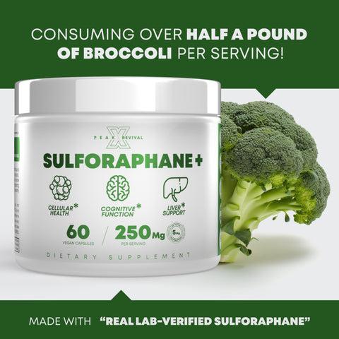 Sulforaphane+ Supplement 205mg w/ 50mg of Pure Sulforaphane Per Serving