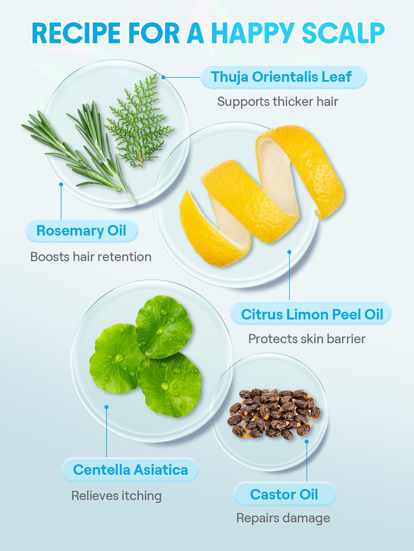 SHEGLAM HAIR Ice Revive Scalp Serum,Cooling Alpine Water Roll,Hair Massage Serum Roll,Soothe Hydrate Scalp,Strenghten Hair Roots,Enhance Scalp Skin Barrier,Reduces Hair,No-Rinse,Fast-Absorbing Daily Nourishing Haircare-Effortlessbeauty