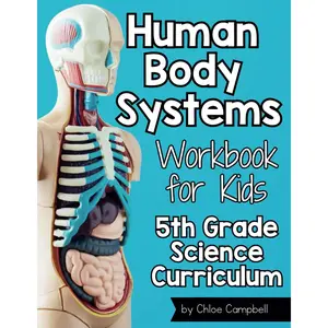Human Body Systems for Kids Workbook: 5th Grade Science Curriculum Paperback – July 23, 2024
