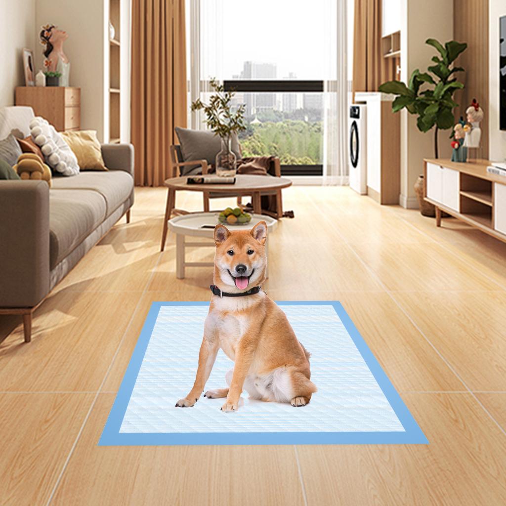 Powools Dog Puppy Pads for Potty Training Leak-Proof Quick-Dry Pee Pads with Multi-Layer Absorption Super Absorbent Polymer