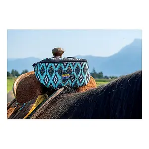 Schulz Equine Beat Bag - Pommel Bag with Bluetooth Speakers - Turquoise Leopard Aztec - Insulated Saddle Pouch for Music & Coach's Voice - 2 Nylon Straps & USB Cord