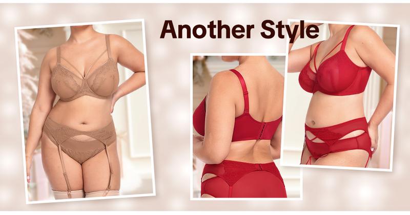 HSIA Renna Valentine's Day Embroidery Sheer Mesh Lightweight Lift Underwire Bra Comfort Fit