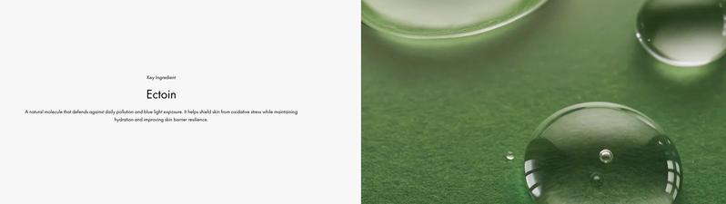 LOOK GOOD DROPS + AM Moisturizer bundle - Skin Tint & Moisturize - Tiege Hanley