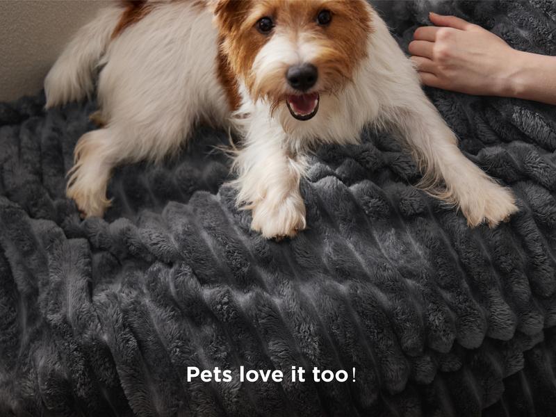 Bedsure GentleSoft Cozy Blanket-Patio Furniture Decor,Classic Stripe Pattern, Ideal for Bed,Couch, Travel,Camping, All Seasons,Home Bedroom Decor Bedsure GentleSoft Cozy Blanket-Patio Furniture Decor,Classic Stripe Pattern, Ideal for Bed,Couch, Travel,Camping, All Seasons,Home Bedroom Decor