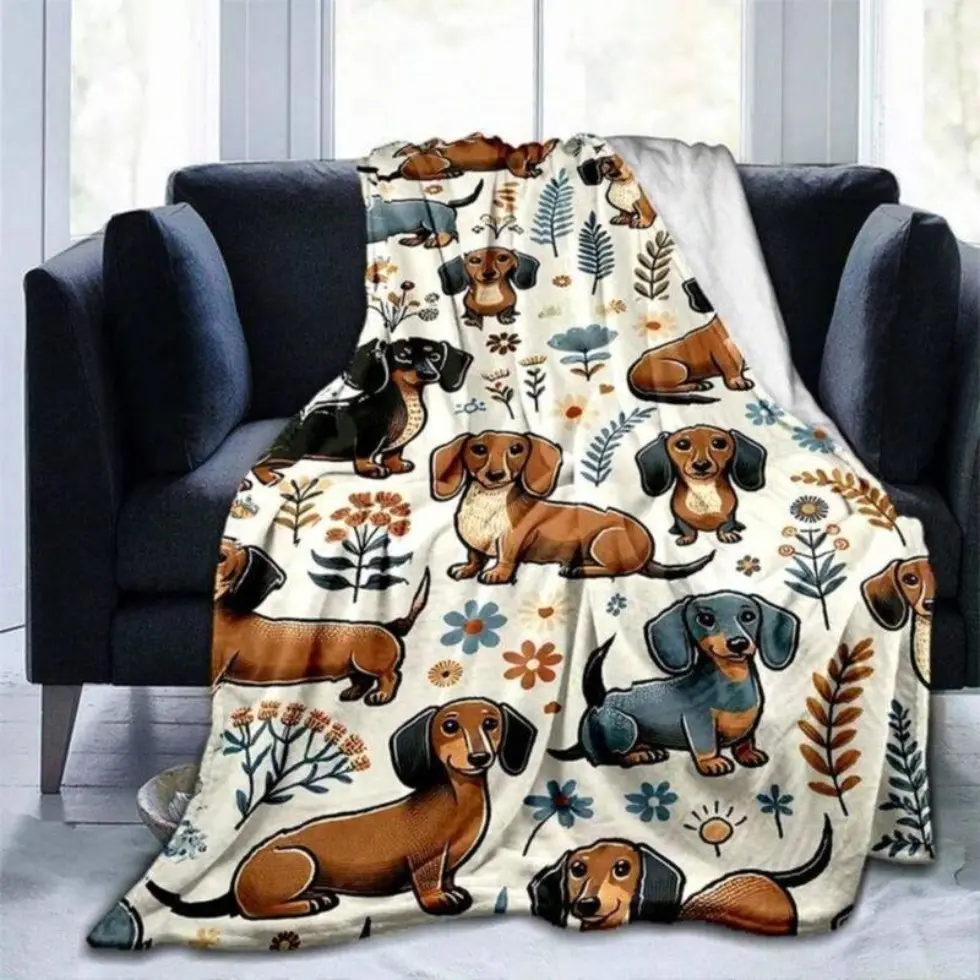 Super Soft Cute Dachshund Prints Flannel Printed 3D Blanket This Ultra-soft Flannel Blanket is The Perfect Gift for Children and Hobbyists Soft Warm Cozy Throw for Bed Sofa Nap Travel, Cute Home Decor It is an excellent gift for children, family and frien