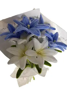 300 Pcs Pipe Cleaners Craft,3 Assorted Colors Pipe Cleaners Bulk, Chenille Stems for DIY Flower Making Kit with Floral Wires, Gardening Tape,Stamen& Ribbon (Blue)