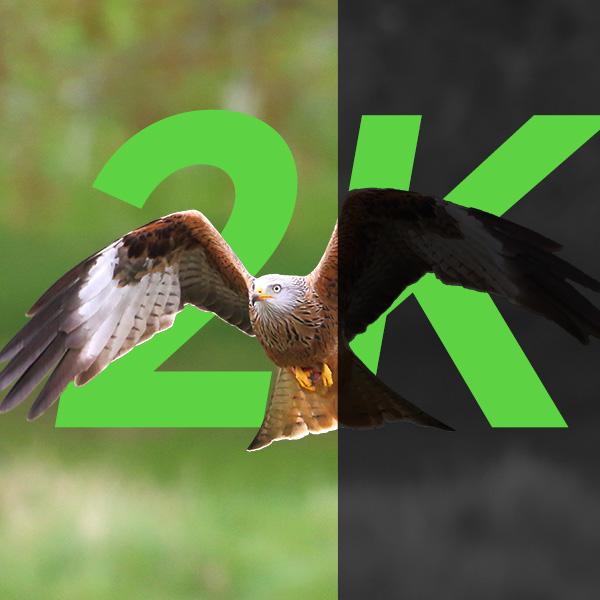 4G LTE Wireless Solar Powered Security Camera CB84S – 2K HDVideo 360°View, NoWiFi, Remote APP Controlled, Motion Activated, Night Vision, Outdoor, PIR Motion Detection, Data refill is required for Unlimited 4G data usage