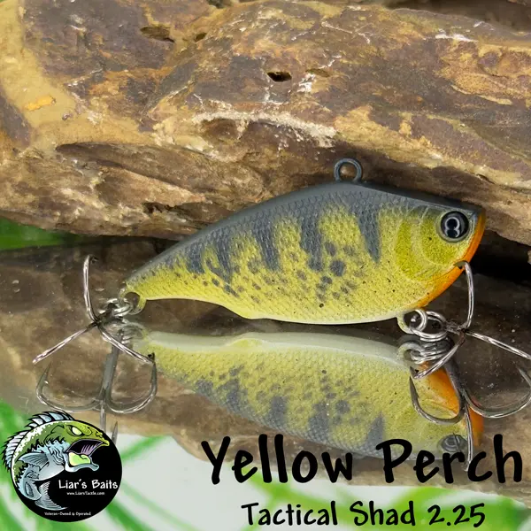 Tactical Shad 2.25 - Lipless Crankbait Tactical Shad 2.25 - Lipless Crankbait