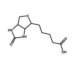 Replenish™ Conditioner – Hydrate & Grow