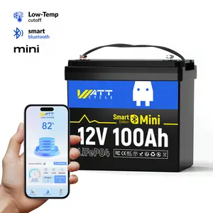 WattCycle 12V 100Ah LiFePO4 Battery, Bluetooth, MINI Battery, 15,000 Deep Cycle Life Cycles, Marine Trolling Motors, RVs, Portable Power Stations, Home Backup Powerlling Motor RV - High Power Portable,Easy travel，Smart application control