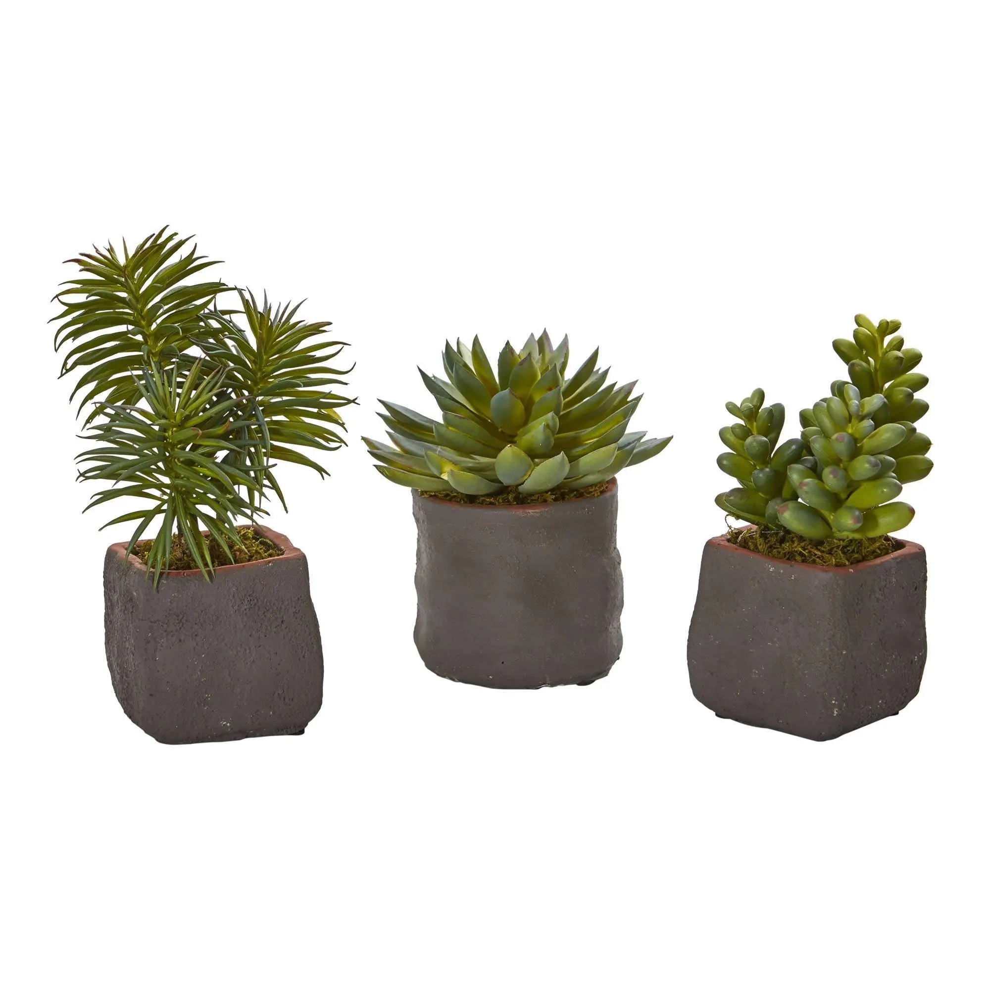3-Piece Mixed-Shapes Artificial Succulent Trio - Ceramic Base, Moss-Infused Plant Decor, Accessories Bundle for Office Desk Home Supplies