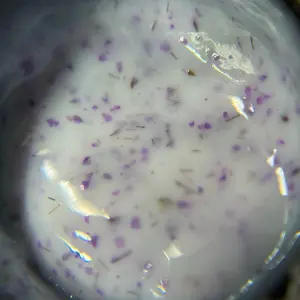 YVG Butterfly builder gel # 02 milk flower 30 g