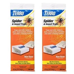 Terro Spider & Insect Trap 8pk (4ct x 2pks)
