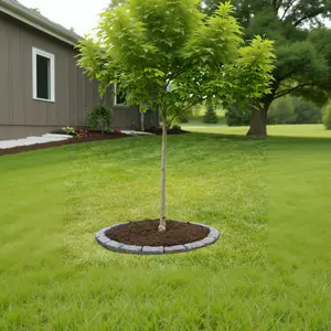 4 Ft Tree Ring Kit 4 Ft Tree Ring Kit