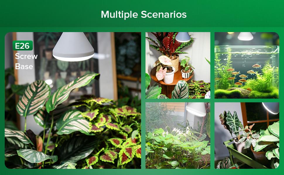 SANSI 24W Equivalent to 250W LED Grow Light Bulb, 3000K+5000K+660nm+730nm Specialty Spectrum, with Samsung LM301B Diodes，IP54 Waterproof Grow Light for Indoor Outdoor Plants