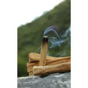Palo Santo Sticks Palo Santo Sticks