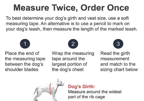 Joyride 2.0 Starry Night – Glow in the Dark No Pull Dog Harness for Medium Dogs Border Collie Dual Adjustable Pressure Release Design Reflective Trim Padded Chest Vest XS S M L XL