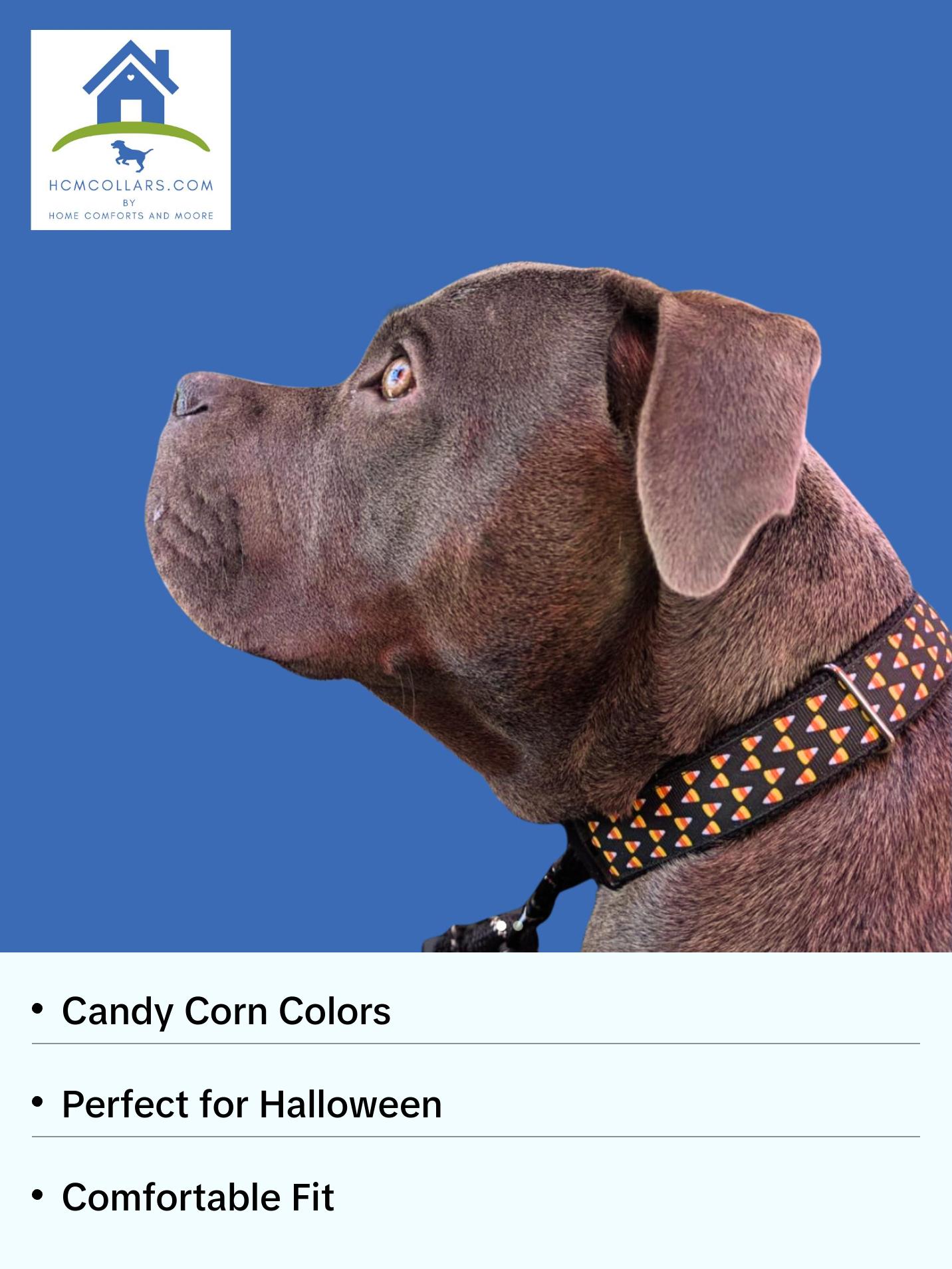 Halloween Candy Corn Dog Collar