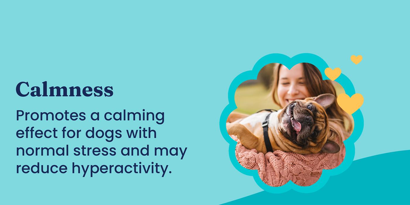 Dog Pet Chews for All Breeds - Multivitamin, Calming - Chicken & Meat Flavors, Skin & Coat Support, Training Treats 90 Capsules-5.99