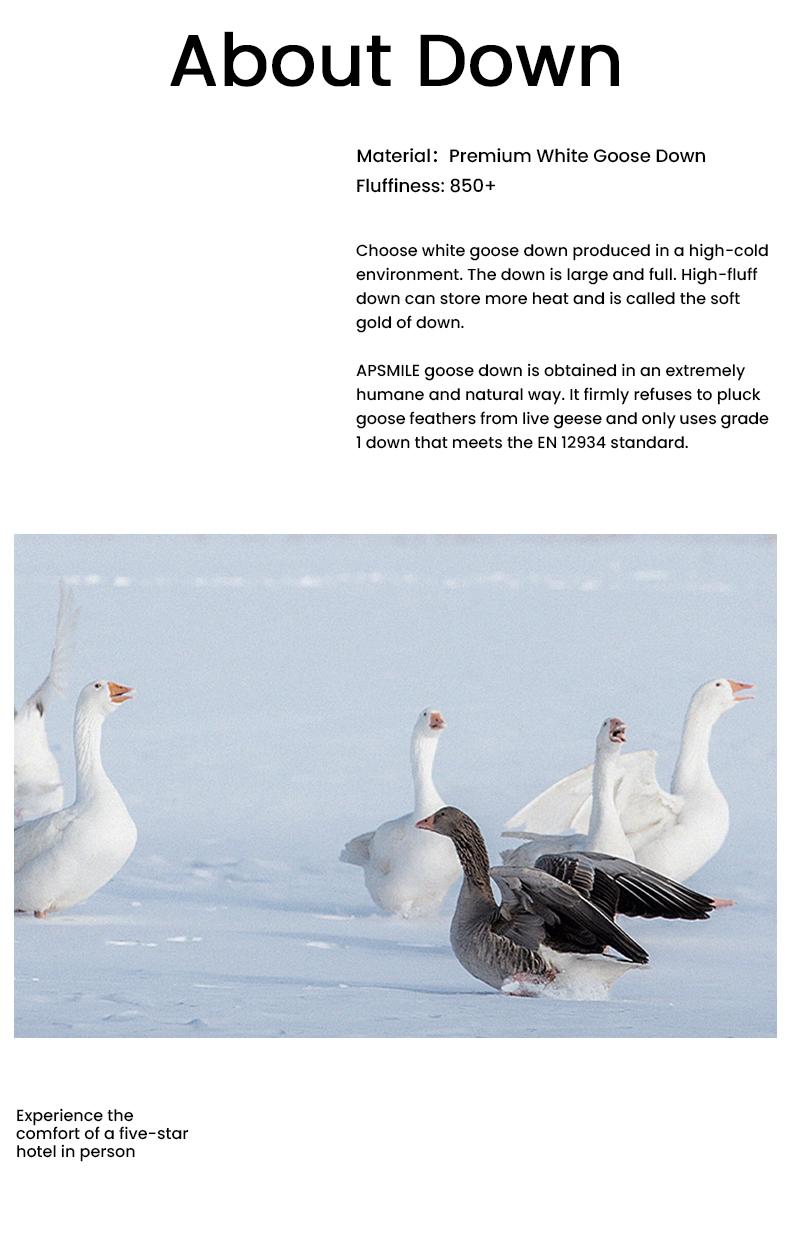 APSMILE Goose Feather Down Duvet Comforter-Fluffy Duvet Insert-Luxurious bedding comforter Kingsize Queensize gray white duvet insert Hotel collection comfy comforter fluffy cloud bed duvet blanket-TikTokShopLaborDaySale