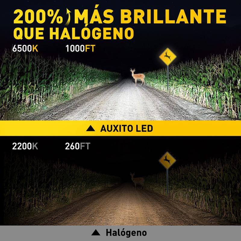 AUXITO FREE ERROR H1 LED 10000LM High Headlight Low Beam Kit 200W Bulb 6500K USA AUXITO FREE ERROR H1 LED 10000LM High Headlight Low Beam Kit 200W Bulb 6500K USA