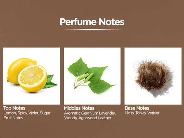 BellaVita Luxury’s Klub Man Body Wash | Bold Fresh Shower Gel | Revives & Hydrates Skin with Aloe Vera | 500ml