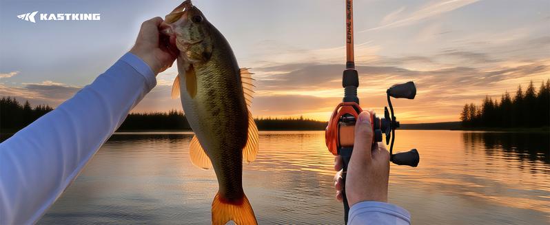 KastKing Lethal Blaze Twin-tip Fishing Rod and Reel Combo, IM6 Graphite 2Pc Blanks, Stainless Steel Guides with Ceramic Rings, Contoured EVA Handles & Fighting Butt, Split or Full Rear Handle Design, 10 Models