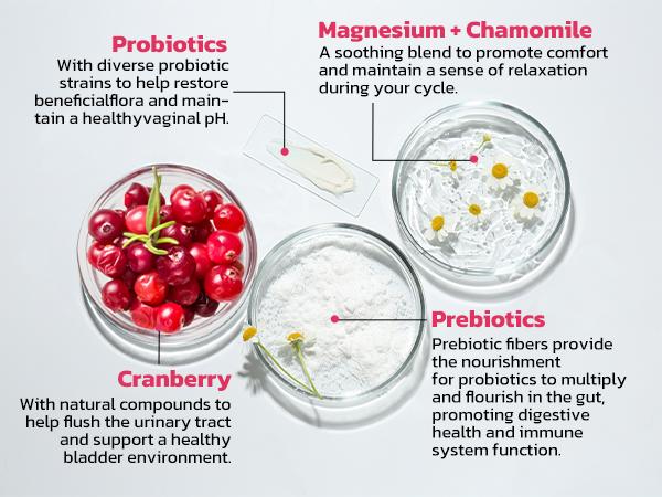 VIVI Youth Probiotics – pH Balance, Feminine Odor Control & Yeast Support, Probiotics for Women with Prebiotics & Lactobacillus Blend, 60 Capsules