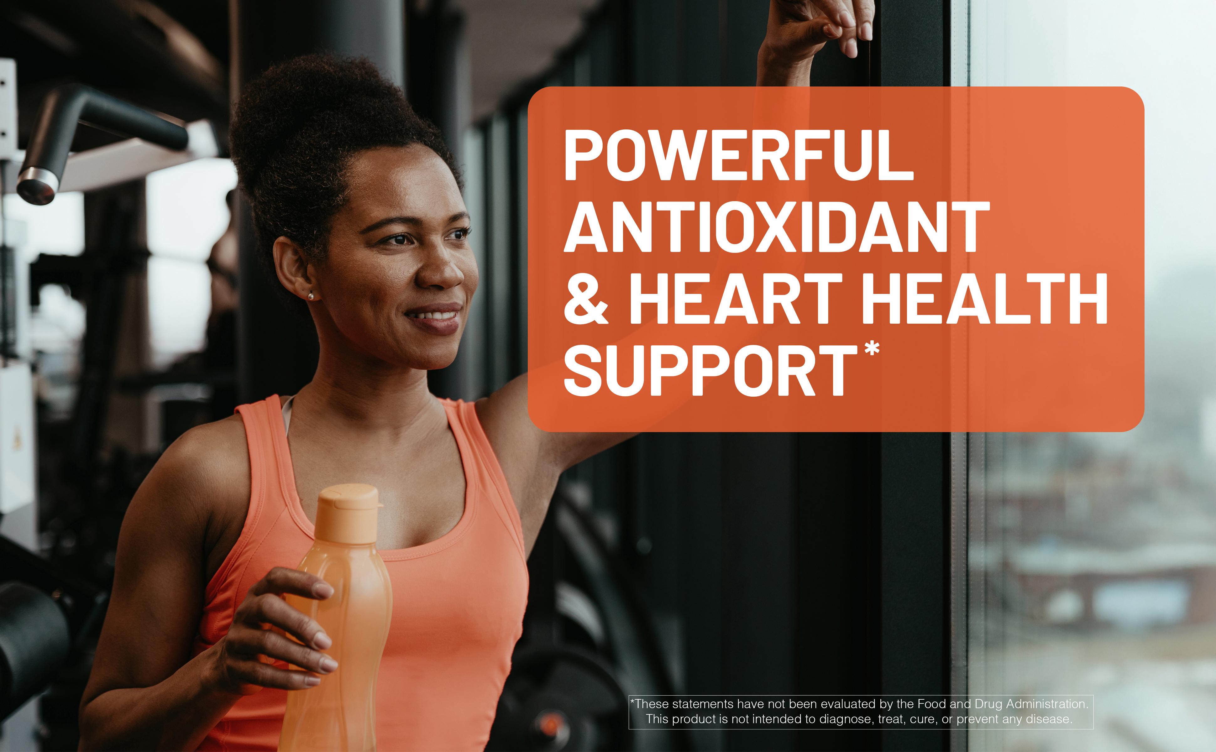 NatureWise Turmeric Curcumin Complex 3200 mg with BioPerine for Absorption - Turmeric Curcumin Supplement for Antioxidant Support - Non-GMO, Vegan, USA Manufactured