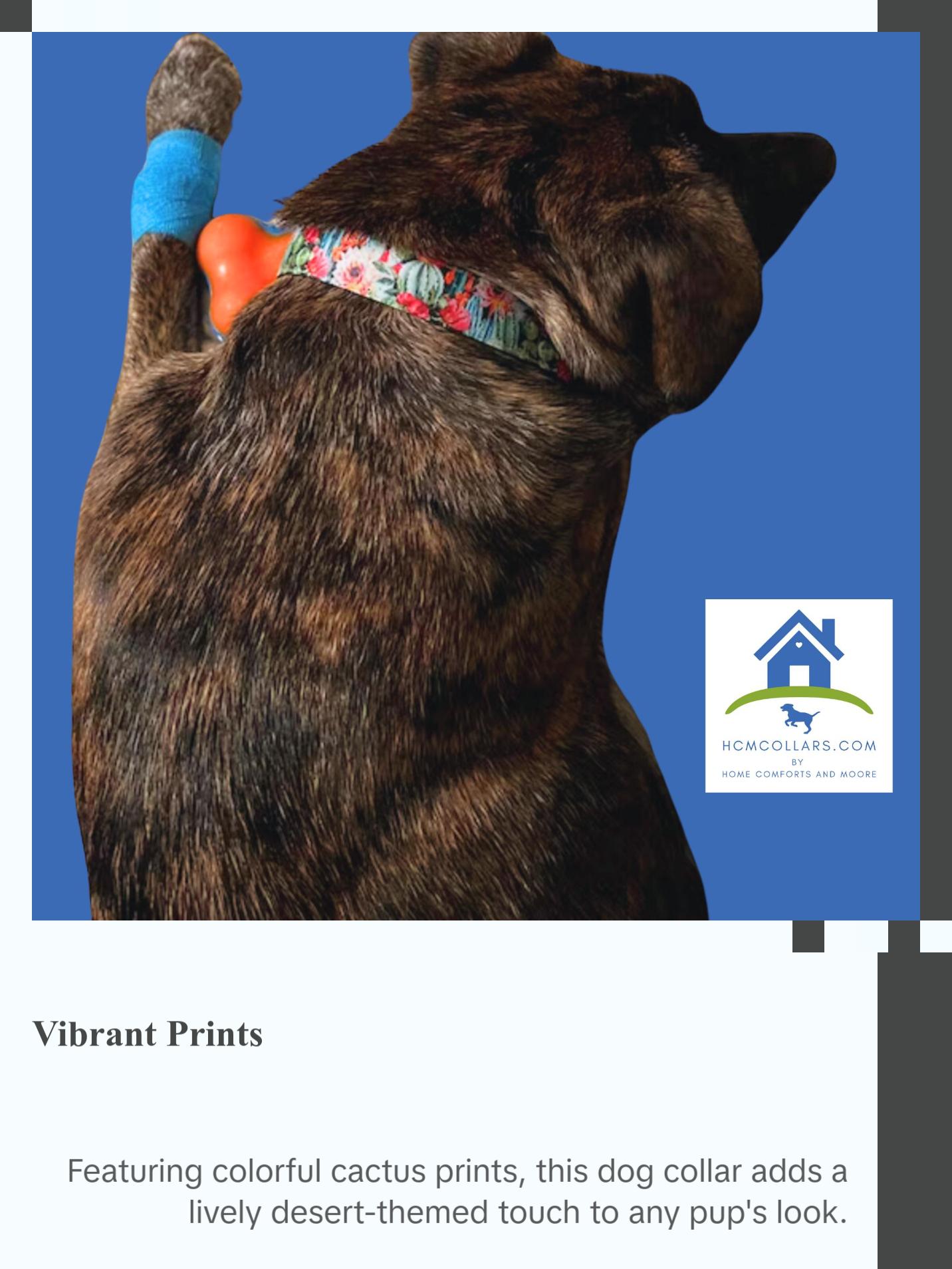 Colorful Cactus Saguaro Dog Collar - Perfect for Your Pet