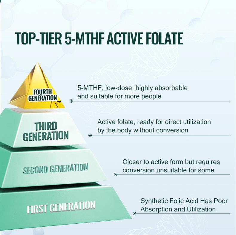 SNOWSON 6S-5-MTHF- Methylfolate (Active B9 Folate) Supplement - Supports Mood, Methylation, Cognition,CardiovascularHealth, Nerve Health,Energy Metabolism,gut health- 60 Tablets 484ug folate.