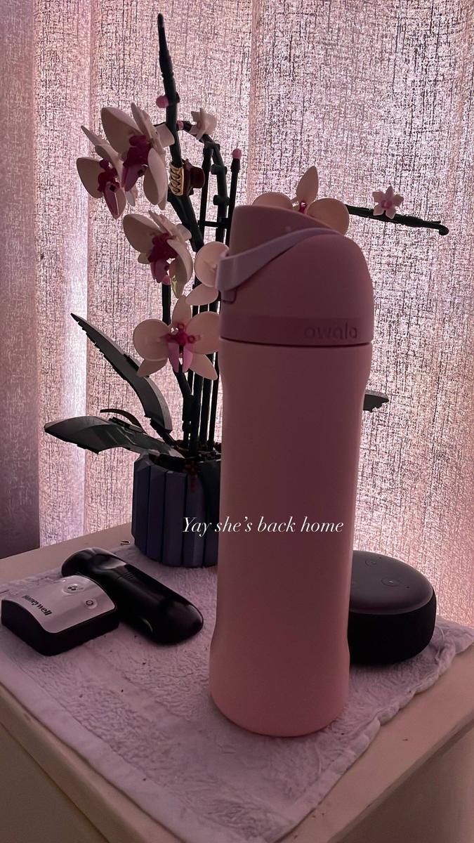 Item: Rose Quartz, Stainless Steel, 24oz