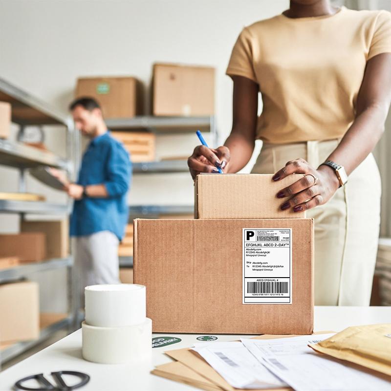 Bluetooth Thermal Label Printer, 4x6 Shipping Label Printer, PL80E Compatible with Android&iPhone and Windows, Widely Used for Hermes, Royal Mail, Amazon, Shopify, Ebay