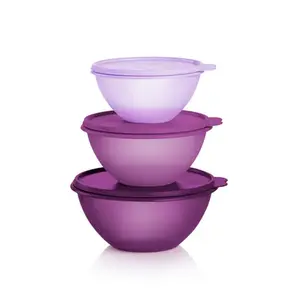 Tupperware Classic Wonderlier 3-piece Bowl Set - Dishwasher Safe, Airtight Seals, Textured Interior, Space Saving Design