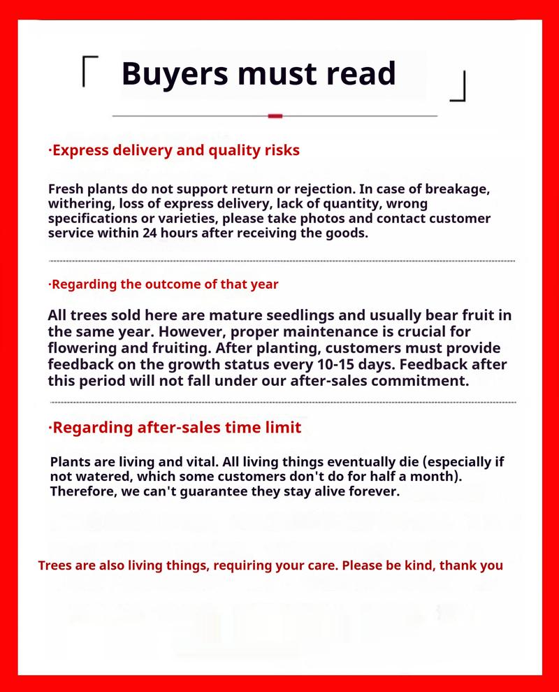 Mission Fig Tree Live Plant – Ficus carica, Perennial Fruit Tree, Hardy and Easy-to-Grow Starter Plant for Gardens & Yards