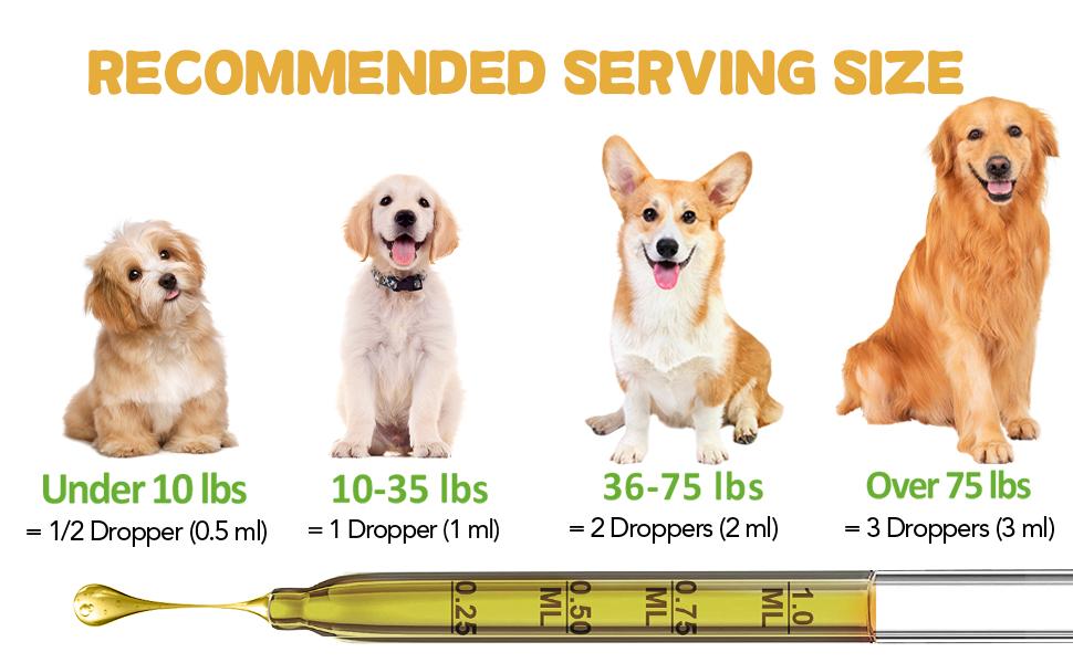 Dogs & Cats Natural Support Drops - Aids Respiratory Comfort, Urinary Health, Skin Relief & Digestion | Suitable for All Breeds & Ages | 2 Oz Dogs & Cats Natural Support Drops - Aids Respiratory Comfort, Urinary Health, Skin Relief & Digestion | Suitable for All Breeds & Ages | 2 Oz