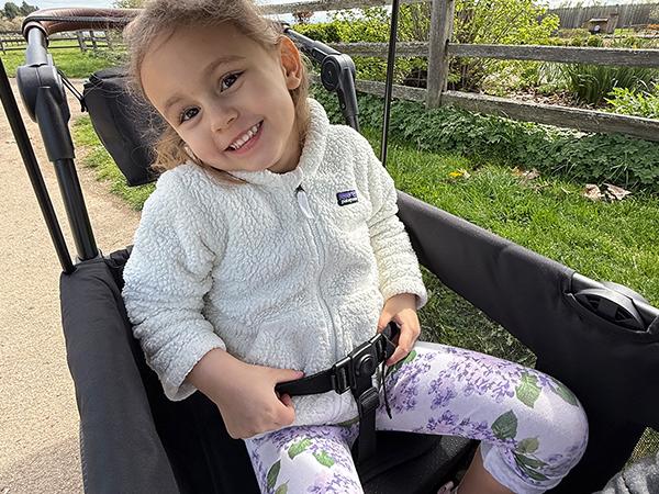 HARPPA All-Terrain Wagon Stroller for 2 with Canopy, Foldable 2-Seat Strollers for Babies, 4 Seats Wagon for Outdoor & Beach, Adjustable Push & Pull Handle, Footwell & Large Storage