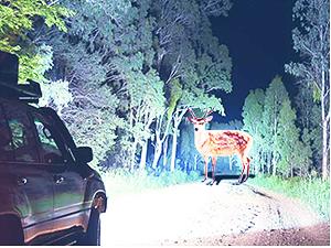 Nilight Headlight Assembly Compatible with 1996 1997 1998 1999 Chrysler Town & Country Dodge Grand Caravan Plymouth Grand Voyager Replacement Headlamp Chrome Housing Amber Reflector