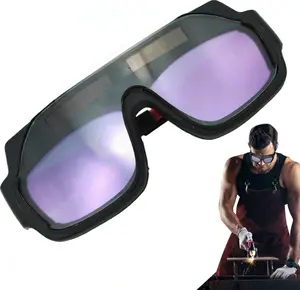 2026 Welding Goggles with 10 Lenses, Black Auto-Darkening Goggles with Eyeglass Cases, Safety Protective Anti-Splash & Anti-Glare Welding Mask for Welders