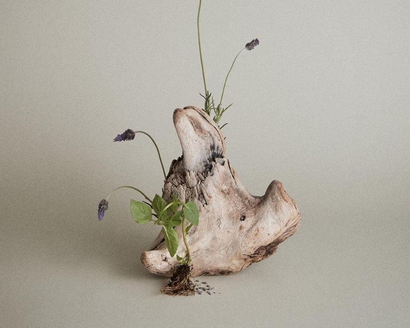 Paul Mitchell Tea Tree Lavender Mint Moisturizing Shampoo 300ml Hydrating Calming Scented Haircare Cleanser Moisture Hydrate Aroma Moisturizer Conditioner Cleansing