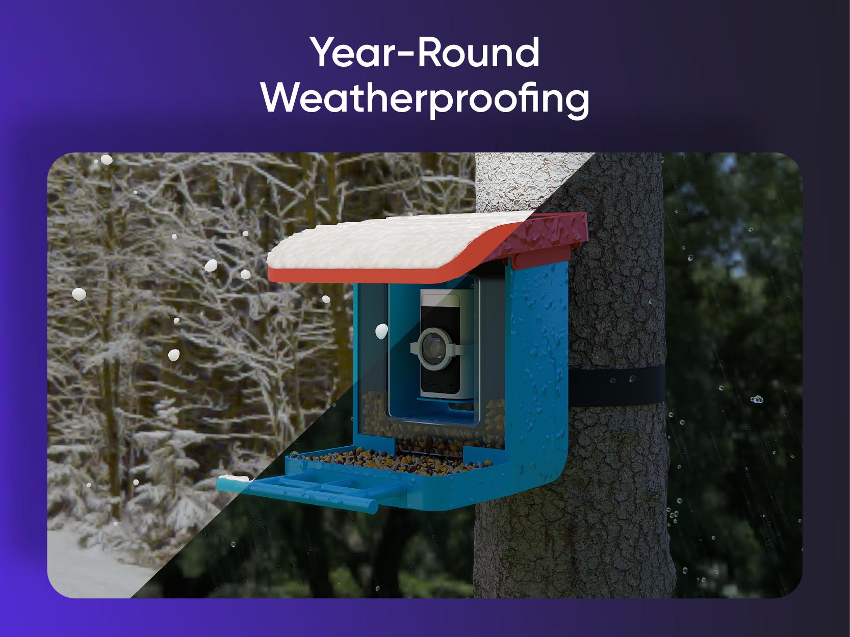Wyze Bird Feeder with HD Camera — View & Record Live Video of Feathered Visitors with Your Favorite Wyze Camera