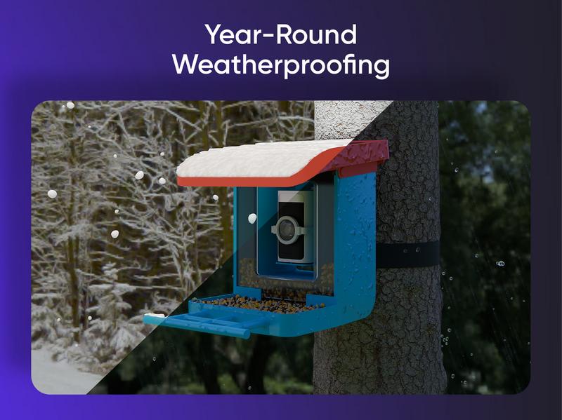 Wyze Bird Feeder with HD Camera — View & Record Live Video of Feathered Visitors with Your Favorite Wyze Camera