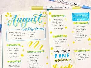 Ohuhu Maui 160-color Brush Pens Dual Brush Fine Tip Drawing Pens Water-Based Coloring Markers for Calligraphy Bullet Journal with Carrying Case -Maui