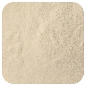 Frontier Co-op Organic Apple Cider Vinegar Powder, 16 oz (453 g)